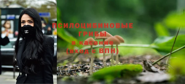 молекула духа Алексеевка