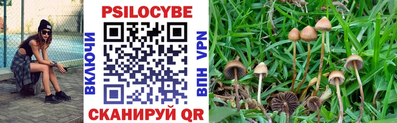 Галлюциногенные грибы мицелий купить цена Никольское